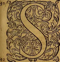 An illustration from Hispaniae illvstratæ; sev. Rervm. vrbivmq. Hispaniæ, Lvsitaniæ, Æthiopiæ et Indiæ scriptores varii. (1603)