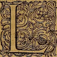 An illustration from Hispaniae illvstratæ; sev. Rervm. vrbivmq. Hispaniæ, Lvsitaniæ, Æthiopiæ et Indiæ scriptores varii. (1603)