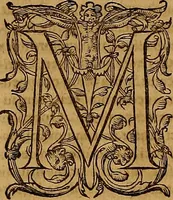 Picture 97 of 104 from Hispaniae illvstratæ; sev. Rervm. vrbivmq. Hispaniæ, Lvsitaniæ, Æthiopiæ et Indiæ scriptores varii. (1603), leaf 1335