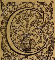 An illustration from Hispaniae illvstratæ; sev. Rervm. vrbivmq. Hispaniæ, Lvsitaniæ, Æthiopiæ et Indiæ scriptores varii. (1603)