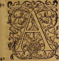 An illustration from Hispaniae illvstratæ; sev. Rervm. vrbivmq. Hispaniæ, Lvsitaniæ, Æthiopiæ et Indiæ scriptores varii. (1603)