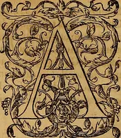 An illustration from Hispaniae illvstratæ; sev. Rervm. vrbivmq. Hispaniæ, Lvsitaniæ, Æthiopiæ et Indiæ scriptores varii. (1603)