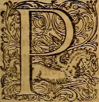 Picture 21 of 104 from Hispaniae illvstratæ; sev. Rervm. vrbivmq. Hispaniæ, Lvsitaniæ, Æthiopiæ et Indiæ scriptores varii. (1603), leaf 194