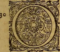 Picture 22 of 104 from Hispaniae illvstratæ; sev. Rervm. vrbivmq. Hispaniæ, Lvsitaniæ, Æthiopiæ et Indiæ scriptores varii. (1603), leaf 202