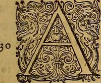Picture 7 of 104 from Hispaniae illvstratæ; sev. Rervm. vrbivmq. Hispaniæ, Lvsitaniæ, Æthiopiæ et Indiæ scriptores varii. (1603), leaf 32