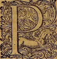 Picture 30 of 104 from Hispaniae illvstratæ; sev. Rervm. vrbivmq. Hispaniæ, Lvsitaniæ, Æthiopiæ et Indiæ scriptores varii. (1603), leaf 435