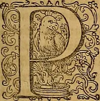 An illustration from Hispaniae illvstratæ; sev. Rervm. vrbivmq. Hispaniæ, Lvsitaniæ, Æthiopiæ et Indiæ scriptores varii. (1603)