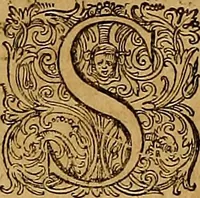 Picture 40 of 104 from Hispaniae illvstratæ; sev. Rervm. vrbivmq. Hispaniæ, Lvsitaniæ, Æthiopiæ et Indiæ scriptores varii. (1603), leaf 733