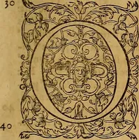 An illustration from Hispaniae illvstratæ; sev. Rervm. vrbivmq. Hispaniæ, Lvsitaniæ, Æthiopiæ et Indiæ scriptores varii. (1603)