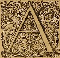 Picture 50 of 104 from Hispaniae illvstratæ; sev. Rervm. vrbivmq. Hispaniæ, Lvsitaniæ, Æthiopiæ et Indiæ scriptores varii. (1603), leaf 847