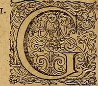 An illustration from Hispaniae illvstratæ; sev. Rervm. vrbivmq. Hispaniæ, Lvsitaniæ, Æthiopiæ et Indiæ scriptores varii. (1603)