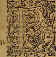 An illustration from Hispaniae illvstratæ; sev. Rervm. vrbivmq. Hispaniæ, Lvsitaniæ, Æthiopiæ et Indiæ scriptores varii. (1603)