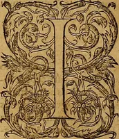 An illustration from Hispaniae illvstratæ; sev. Rervm. vrbivmq. Hispaniæ, Lvsitaniæ, Æthiopiæ et Indiæ scriptores varii. (1603)