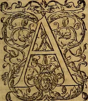 An illustration from Hispaniae illvstratæ; sev. Rervm. vrbivmq. Hispaniæ, Lvsitaniæ, Æthiopiæ et Indiæ scriptores varii. (1603)