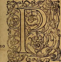 An illustration from Hispaniae illvstratæ; sev. Rervm. vrbivmq. Hispaniæ, Lvsitaniæ, Æthiopiæ et Indiæ scriptores varii. (1603)