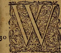Picture 213 of 222 from Hispaniae illvstratæ; sev. Rervm. vrbivmq. Hispaniæ, Lvsitaniæ, Æthiopiæ et Indiæ scriptores varii. (1603), leaf 1018