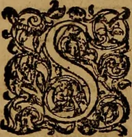 Picture 214 of 222 from Hispaniae illvstratæ; sev. Rervm. vrbivmq. Hispaniæ, Lvsitaniæ, Æthiopiæ et Indiæ scriptores varii. (1603), leaf 1019