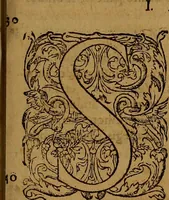 Picture 217 of 222 from Hispaniae illvstratæ; sev. Rervm. vrbivmq. Hispaniæ, Lvsitaniæ, Æthiopiæ et Indiæ scriptores varii. (1603), leaf 1022