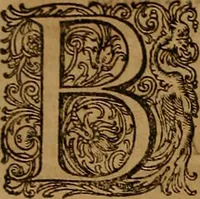 Picture 12 of 222 from Hispaniae illvstratæ; sev. Rervm. vrbivmq. Hispaniæ, Lvsitaniæ, Æthiopiæ et Indiæ scriptores varii. (1603), leaf 303