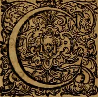 Picture 17 of 222 from Hispaniae illvstratæ; sev. Rervm. vrbivmq. Hispaniæ, Lvsitaniæ, Æthiopiæ et Indiæ scriptores varii. (1603), leaf 367