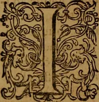 Picture 20 of 222 from Hispaniae illvstratæ; sev. Rervm. vrbivmq. Hispaniæ, Lvsitaniæ, Æthiopiæ et Indiæ scriptores varii. (1603), leaf 389