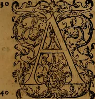 Picture 21 of 222 from Hispaniae illvstratæ; sev. Rervm. vrbivmq. Hispaniæ, Lvsitaniæ, Æthiopiæ et Indiæ scriptores varii. (1603), leaf 390