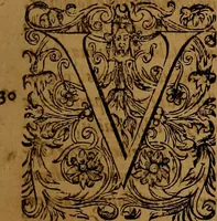 Picture 25 of 222 from Hispaniae illvstratæ; sev. Rervm. vrbivmq. Hispaniæ, Lvsitaniæ, Æthiopiæ et Indiæ scriptores varii. (1603), leaf 402
