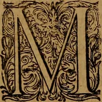 Picture 27 of 222 from Hispaniae illvstratæ; sev. Rervm. vrbivmq. Hispaniæ, Lvsitaniæ, Æthiopiæ et Indiæ scriptores varii. (1603), leaf 415
