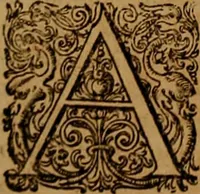 Picture 29 of 222 from Hispaniae illvstratæ; sev. Rervm. vrbivmq. Hispaniæ, Lvsitaniæ, Æthiopiæ et Indiæ scriptores varii. (1603), leaf 441