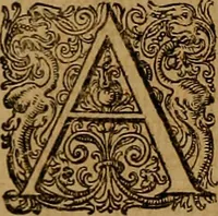Picture 33 of 222 from Hispaniae illvstratæ; sev. Rervm. vrbivmq. Hispaniæ, Lvsitaniæ, Æthiopiæ et Indiæ scriptores varii. (1603), leaf 471