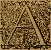 Picture 34 of 222 from Hispaniae illvstratæ; sev. Rervm. vrbivmq. Hispaniæ, Lvsitaniæ, Æthiopiæ et Indiæ scriptores varii. (1603), leaf 481