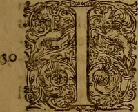 Picture 35 of 222 from Hispaniae illvstratæ; sev. Rervm. vrbivmq. Hispaniæ, Lvsitaniæ, Æthiopiæ et Indiæ scriptores varii. (1603), leaf 492
