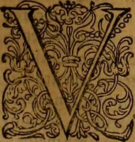 Picture 36 of 222 from Hispaniae illvstratæ; sev. Rervm. vrbivmq. Hispaniæ, Lvsitaniæ, Æthiopiæ et Indiæ scriptores varii. (1603), leaf 502