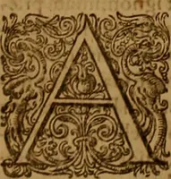 Picture 37 of 222 from Hispaniae illvstratæ; sev. Rervm. vrbivmq. Hispaniæ, Lvsitaniæ, Æthiopiæ et Indiæ scriptores varii. (1603), leaf 521