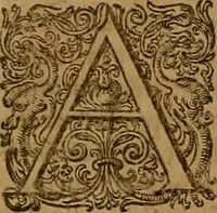 Picture 39 of 222 from Hispaniae illvstratæ; sev. Rervm. vrbivmq. Hispaniæ, Lvsitaniæ, Æthiopiæ et Indiæ scriptores varii. (1603), leaf 541