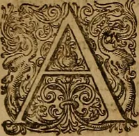Picture 43 of 222 from Hispaniae illvstratæ; sev. Rervm. vrbivmq. Hispaniæ, Lvsitaniæ, Æthiopiæ et Indiæ scriptores varii. (1603), leaf 575