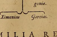 Picture 210 of 222 from Hispaniae illvstratæ; sev. Rervm. vrbivmq. Hispaniæ, Lvsitaniæ, Æthiopiæ et Indiæ scriptores varii. (1603), leaf 863
