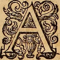 An illustration from Hispaniae illvstratæ; sev. Rervm. vrbivmq. Hispaniæ, Lvsitaniæ, Æthiopiæ et Indiæ scriptores varii. (1603)