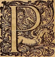 An illustration from Hispaniae illvstratæ; sev. Rervm. vrbivmq. Hispaniæ, Lvsitaniæ, Æthiopiæ et Indiæ scriptores varii. (1603)