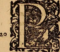 An illustration from Hispaniae illvstratæ; sev. Rervm. vrbivmq. Hispaniæ, Lvsitaniæ, Æthiopiæ et Indiæ scriptores varii. (1603)