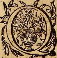 An illustration from Hispaniae illvstratæ; sev. Rervm. vrbivmq. Hispaniæ, Lvsitaniæ, Æthiopiæ et Indiæ scriptores varii. (1603)