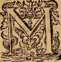 An illustration from Hispaniae illvstratæ; sev. Rervm. vrbivmq. Hispaniæ, Lvsitaniæ, Æthiopiæ et Indiæ scriptores varii. (1603)