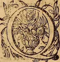 Picture 25 of 47 from Hispaniae illvstratæ; sev. Rervm. vrbivmq. Hispaniæ, Lvsitaniæ, Æthiopiæ et Indiæ scriptores varii. (1603), leaf 311