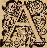 Picture 35 of 47 from Hispaniae illvstratæ; sev. Rervm. vrbivmq. Hispaniæ, Lvsitaniæ, Æthiopiæ et Indiæ scriptores varii. (1603), leaf 450