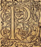 An illustration from Hispaniae illvstratæ; sev. Rervm. vrbivmq. Hispaniæ, Lvsitaniæ, Æthiopiæ et Indiæ scriptores varii. (1603)