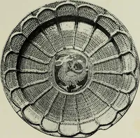 An illustration from Hispano-Moresque ware of the XV. century : a contribution to its history and chronology based upon armorial specimens (1904)