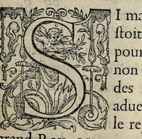 An illustration from Histoire contenant vn abregé de la vie, moeurs, et vertus du roy tres-chrestien et debonnaire Charles IX. vrayement piteux, propugnateur de la foy catholique, & amateur des bons esprits : où sont contenuës plusieurs choses merueilleuses, aduenues durant son regne, à bon droit dit le regne des merueilles / (1574)