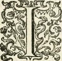 An illustration from Histoire curieuse de tout ce qui c'est passé a l'entree de la reyne mere du roy treschrestien dans les villes des Pays Bas; (1632)