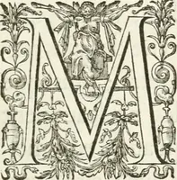 An illustration from Histoire curieuse de tout ce qui c'est passé a l'entree de la reyne mere du roy treschrestien dans les villes des Pays Bas; (1632)