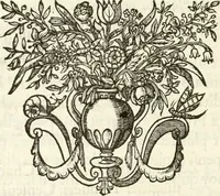 An illustration from Histoire curieuse de tout ce qui c'est passé a l'entree de la reyne mere du roy treschrestien dans les villes des Pays Bas; (1632)